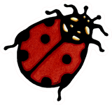 Ladybug Sticker