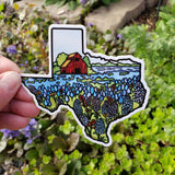 Texas State Sticker