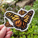 Monarch Butterflies Sticker