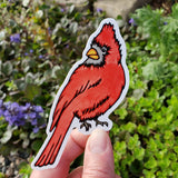 Cardinal Sticker