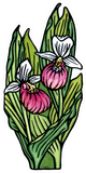 Lady Slipper Sticker