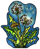 Dandelions Sticker