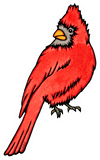 Cardinal Sticker