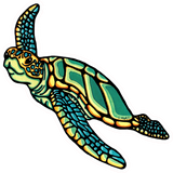 Sea Turtle Sticker