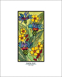 Mountain Bluet - Simple Giclee Print