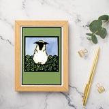 SA309: Sheep in Clover