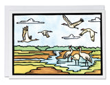 SA434: Sandhill Cranes