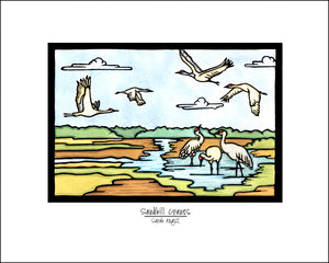 Sandhill Crane - 8"x10" Overstock