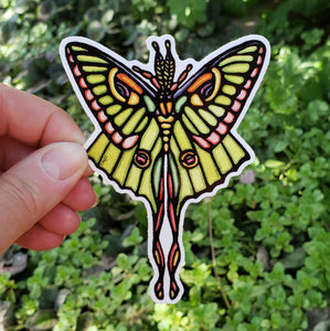 Luna Moth Sticker