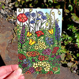 Postcard - Wildflowers
