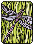 Dragonfly Sticker