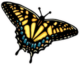 Swallowtail Sticker